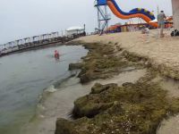 Водорості, медузи і холодне море: відпочиваючі розповіли, які ще «пригоди» підстерігають в Залізному Порту