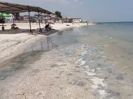 Витягали четверо чоловіків: в&nbsp;Кирилівці курортниця провалилася в&nbsp;&laquo;братську могилу&raquo; з&nbsp;медуз