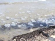 Не&nbsp;відпочинок, а&nbsp;боротьба за&nbsp;виживання: в&nbsp;Кирилівці відпочивальники чекають на&nbsp;похолодання, після якого зникнуть медузи