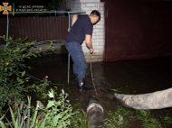 На&nbsp;пляжах Одеси не&nbsp;радять купатися: названо причину