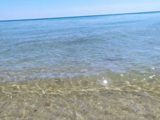 Пляжи с "чистейшей водой": в Сети показали "курорт без медуз и водорослей"