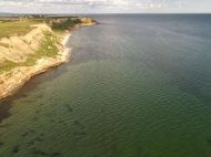 Купатися&nbsp;&mdash; не&nbsp;рекомендують: під Одесою позеленішало море