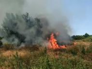 Гасіння ускладнив сильний вітер: відео масштабної пожежі на&nbsp;Хортиці