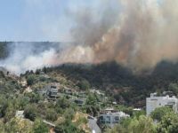 ламя уже на подступах к Бодруму: впечатляющее видео из охваченной пожарами Турции