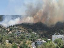 ламя вже на підступах до Бодруму: вражаюче відео з охопленої пожежами Туреччини