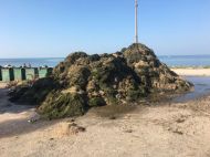 Вигрібають тоннами: в&nbsp;Бердянську у&nbsp;курортників нова проблема