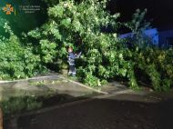 Повалені дерева і&nbsp;електроопори, знеструмлені вулиці, пошкоджені дахи: Кам&rsquo;янець-Подільський &laquo;накрила&raquo; негода
