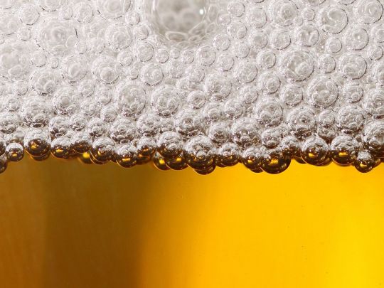 Алкопраздник на все времена: сегодня в мире отмечают Международный день пива