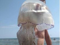 "Таких еще не видела": медузы продолжают атаковать пляжи Кирилловки