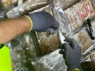 У&nbsp;порту під Одесою накрили чергову партію &laquo;кокаїнових&raquo; бананів на&nbsp;10 мільйонів доларів