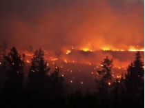 Пожежі у Челябінській області