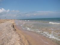 Трупы медуз и "зеленый" пляж: туристы рассказали, стоит ли ехать в Счастливцево