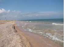 Трупы медуз и "зеленый" пляж: туристы рассказали, стоит ли ехать в Счастливцево