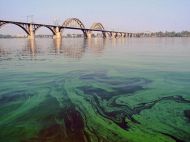 &laquo;Водорості&nbsp;&mdash; хоч на&nbsp;хліб намазуй&raquo;: в&nbsp;&laquo;Київводоканалі&raquo; пояснили моторошне стан &laquo;квітучого&raquo; Дніпра