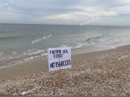 Влада Кирилівки встала на&nbsp;захист медуз: відпочивальникам заборонено виносити їх&nbsp;з&nbsp;моря