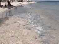 У&nbsp;Кирилівці відпочиваючим заборонили створювати &laquo;медузні могильники&raquo;