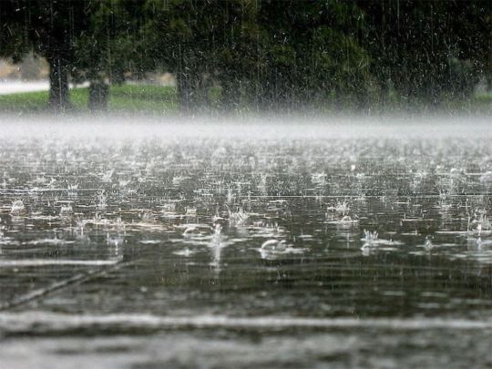 Дощі на підході: синоптик розповіла, кому на День незалежності знадобляться парасольки