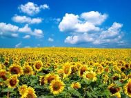 В&nbsp;Україні приспустять державні прапори: країна вшановує пам'ять своїх загиблих захисників