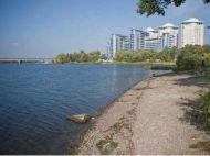 Добралися вже й&nbsp;до&nbsp;Києва: на&nbsp;Русанівській косі у&nbsp;столиці помітили медузу