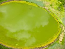 «Око Полісся»: в Чорнобилі виявили озеро ідеально круглої форми