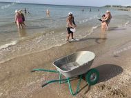 Вода кишить корнеротами: на&nbsp;азовському курорті відпочивальники обурені засиллям медуз
