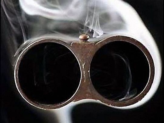 На Львівщині суд відпустив на свободу злочинця, який стріляв з рушниці в поліцейських