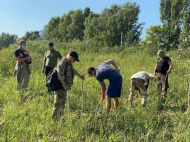 На&nbsp;березі Вирлиці знищили посаджені ветеранами дерева,&nbsp;&mdash; ЗМІ