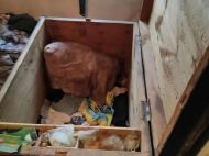Тіла знайшли у&nbsp;старій скрині: в&nbsp;Донецькій області при дивних обставинах загинули двоє дітей