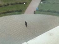 Стрілянина в&nbsp;Пермі: число загиблих і&nbsp;постраждалих суттєво зросло