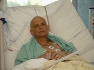 Россия не&nbsp;будет исполнять решение ЕСПЧ по&nbsp;делу об&nbsp;убийстве Литвиненко,&nbsp;&mdash; Песков