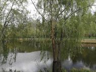 В&nbsp;Україну вривається тепло: синоптики назвали дату