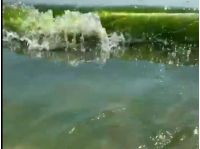 Зелена вода у Затоці