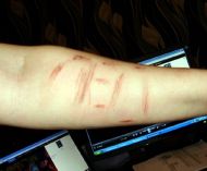 &laquo;Полтергейст розлучив мене з&nbsp;чоловіком, вижив з&nbsp;будинку та&nbsp;розлучив з&nbsp;донькою&raquo;: історія криворожанки, яку 11 років переслідує барабашка