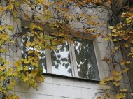 Похолодає до&nbsp;&laquo;крижаних&raquo; мінус п'яти: українців попередили про заморозки на&nbsp;вихідних