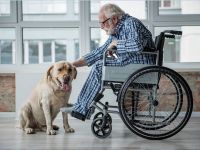 Пенсионер в инвалидном кресле