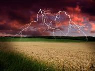 До +34 і&nbsp;&laquo;горобині ночі&raquo;: в&nbsp;Україну повернулися грозові дощі