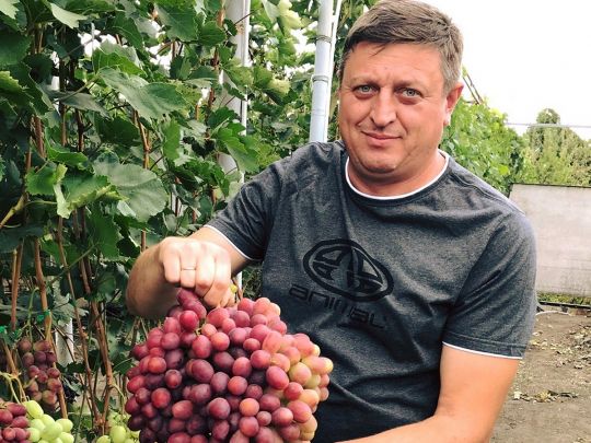 Володимир Шпак