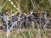 Беженцы идут: в сети показали впечатляющие колонны мигрантов на белорусско-польской границе