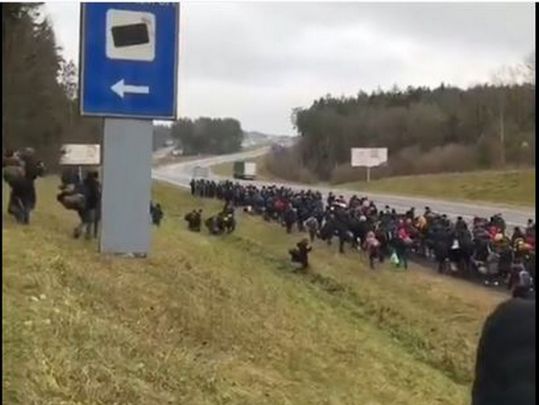 Мигранты на границе Польши