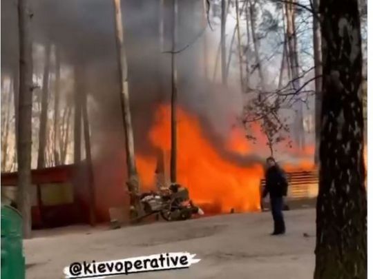 Пожар в парке "Совки"
