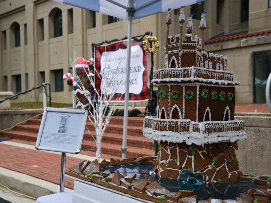 Пряничный домик от посольства Украины признали лучшим на конкурсе в США: как выглядит сладкий шедевр