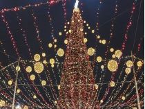 В Киеве на Софийской площади торжественно открыли главную елку Украины (видео) 