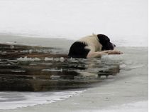 В Киеве собака спасла провалившегося под лед ребенка (видео)