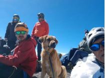Собака с альпинистами