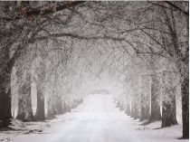 В Украину идет тепло до +11: как изменится погода в канун Рождества
