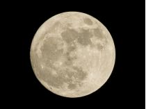 місяць дослідження та освоєння місяця
