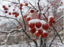 Після сильних дощів в Україну настане різке похолодання: синоптики назвали дату