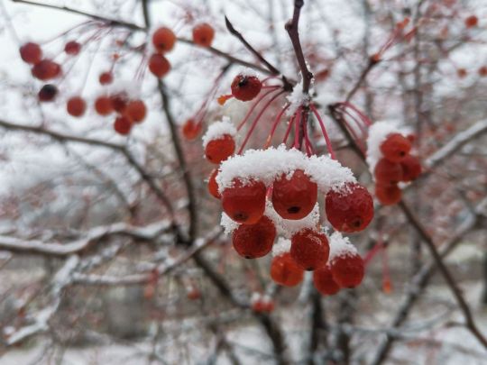 После сильных дождей в Украину придет резкое похолодание: синоптики назвали дату