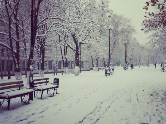 Сначала много снега, потом мороз до – 15: синоптики рассказали, как изменится погода в Украине