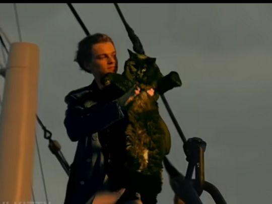 Леонардо Ді Капріо з кішкою